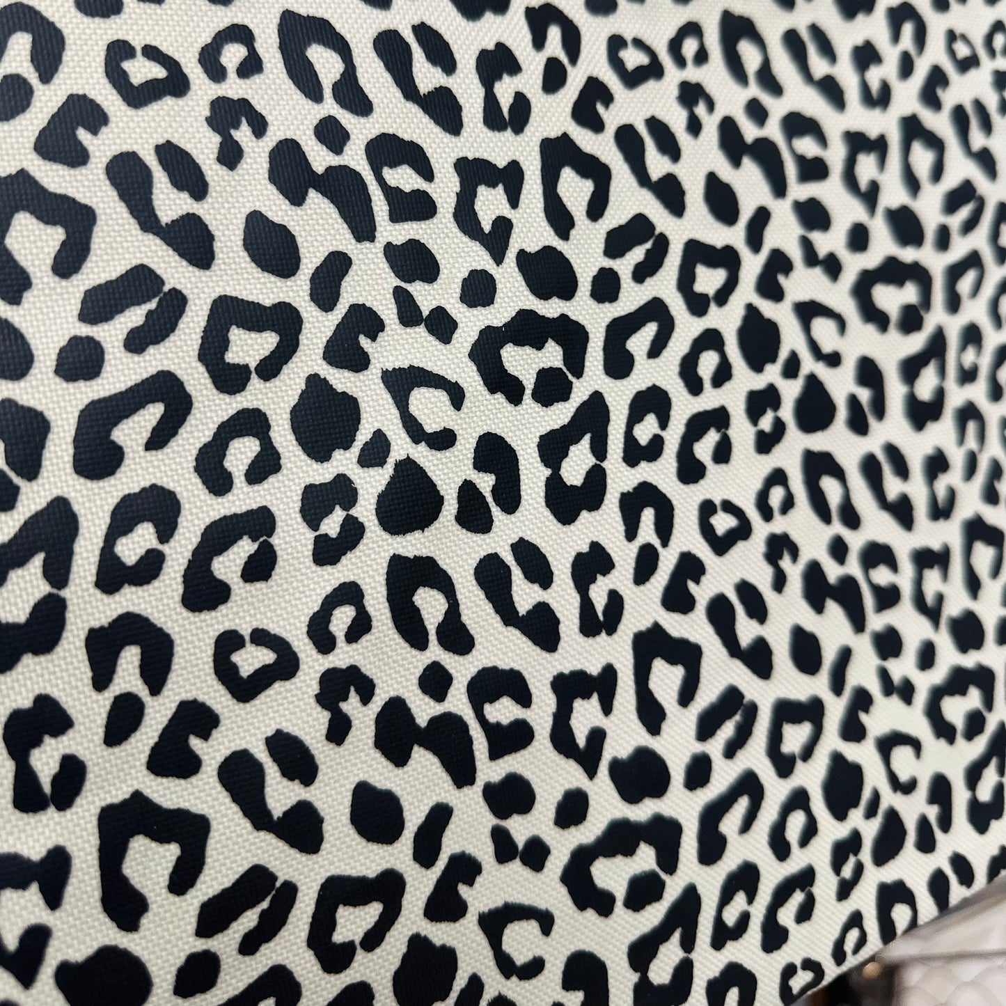 Leopard Clear Cosmetic Bag