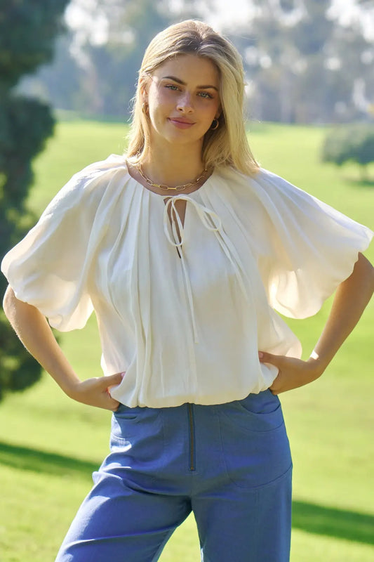 Charming Balloon Pleated Crop Top