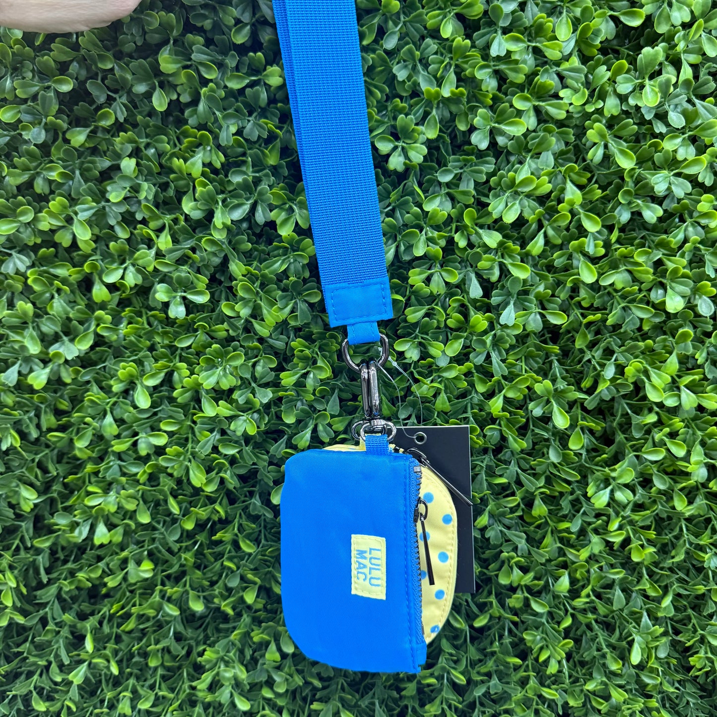 Lulu Mac Double Pouch Polka Dot Wristlet: Multiple Color