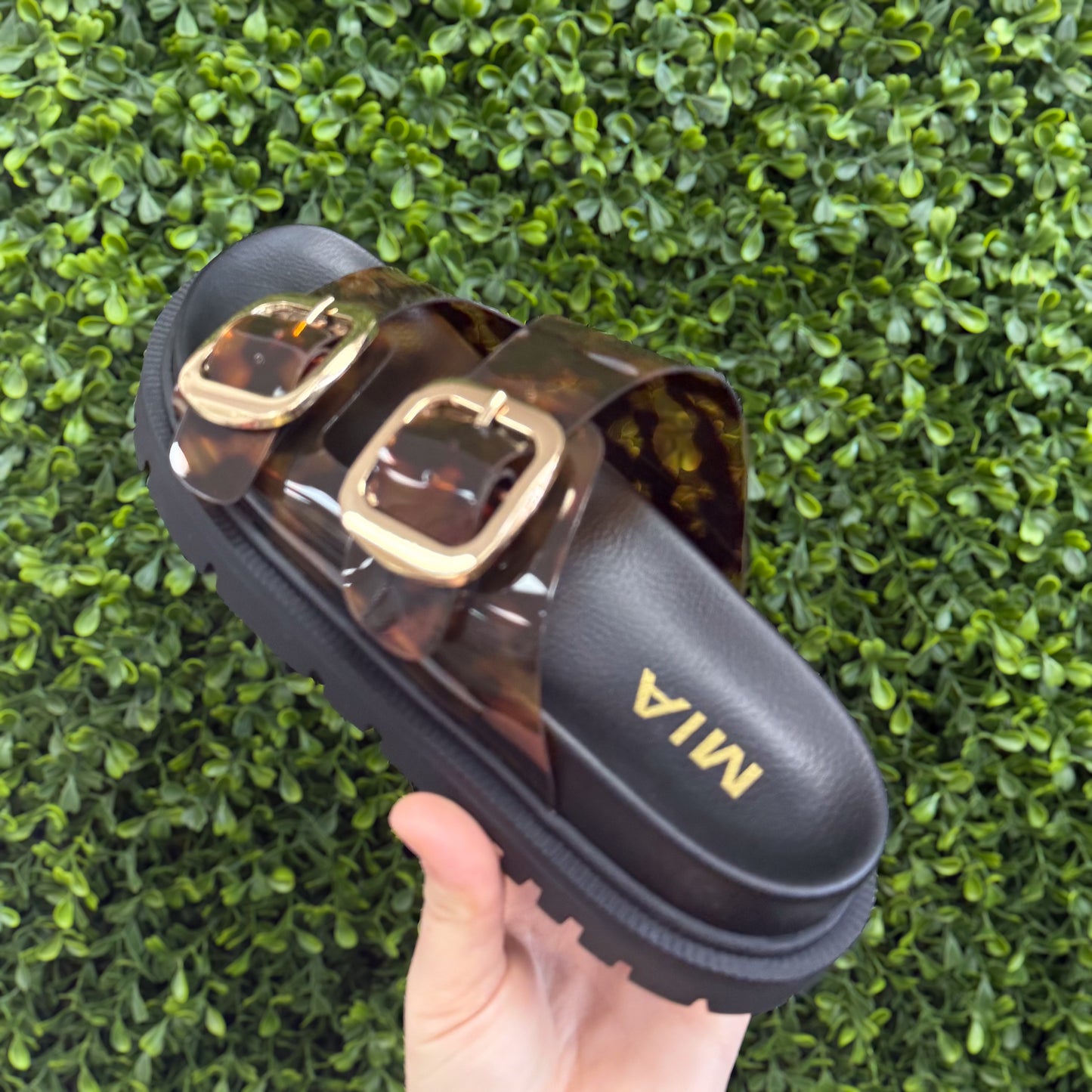 MIA Gen Tortoise Jelly Slide On