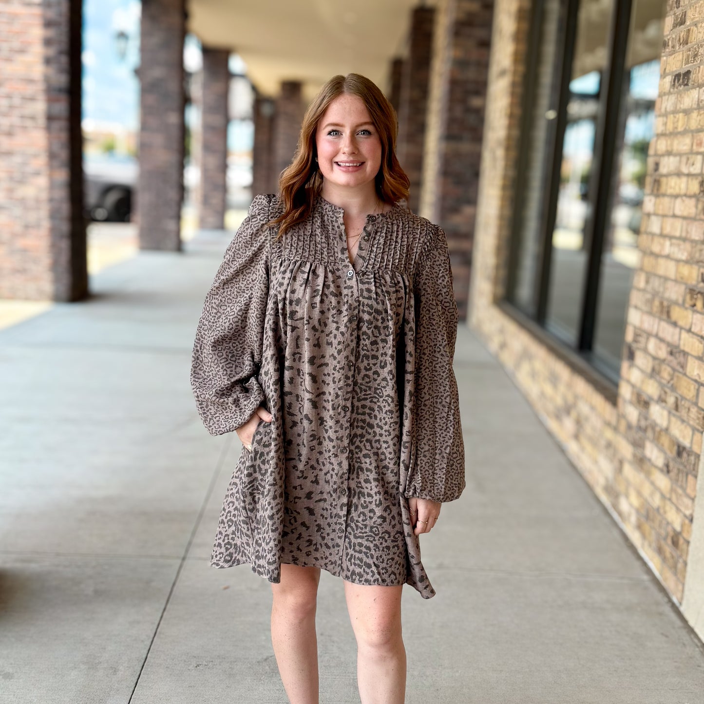 Animal Print Button Down Swing Dress
