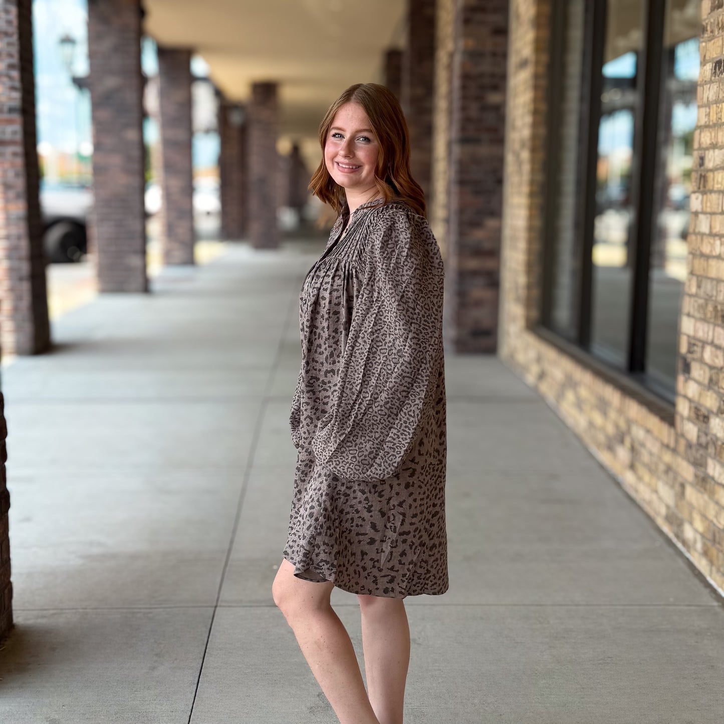Animal Print Button Down Swing Dress
